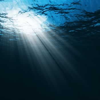 Into the Deep